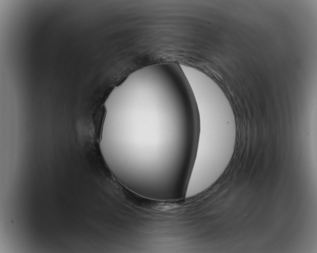 X0000089420617200706151004