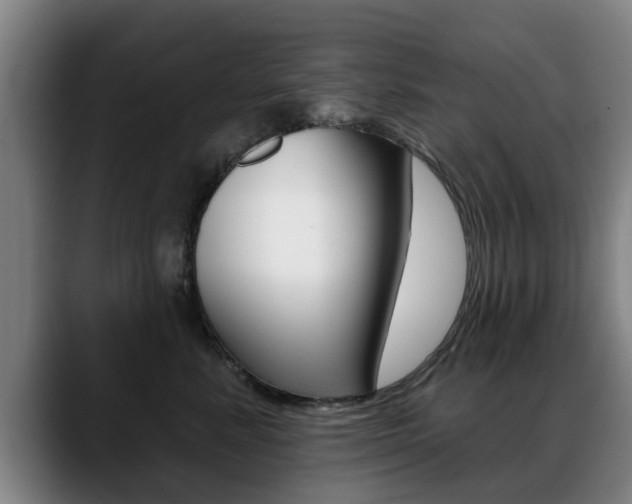 X0000089420619200706151004