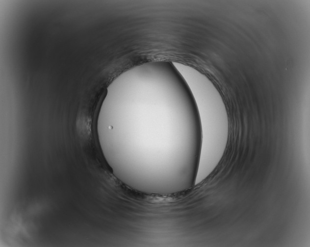 X0000089420621200706151004