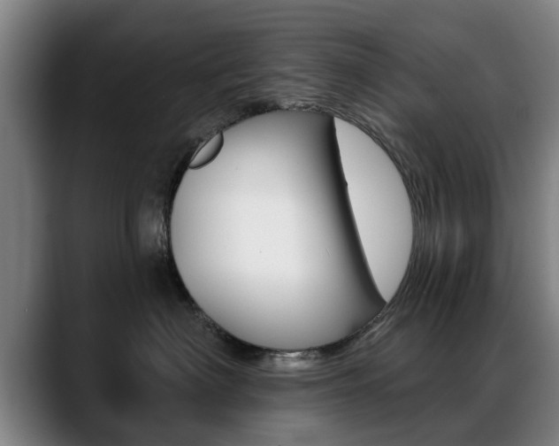 X0000089420622200706151004
