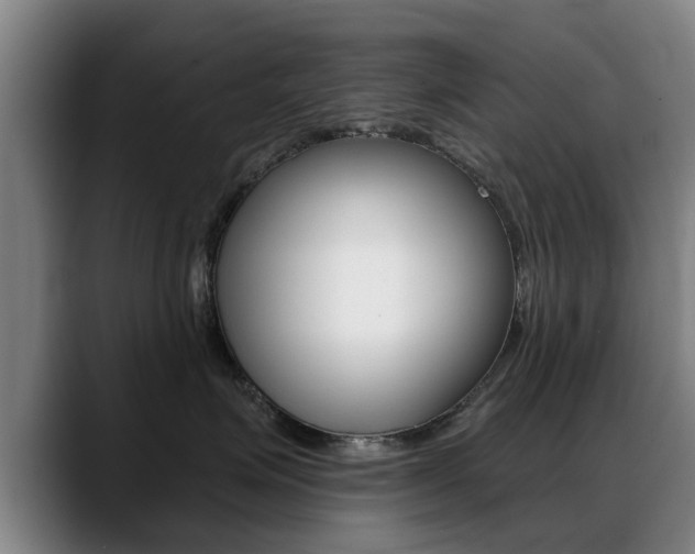 X0000089420623200706151004