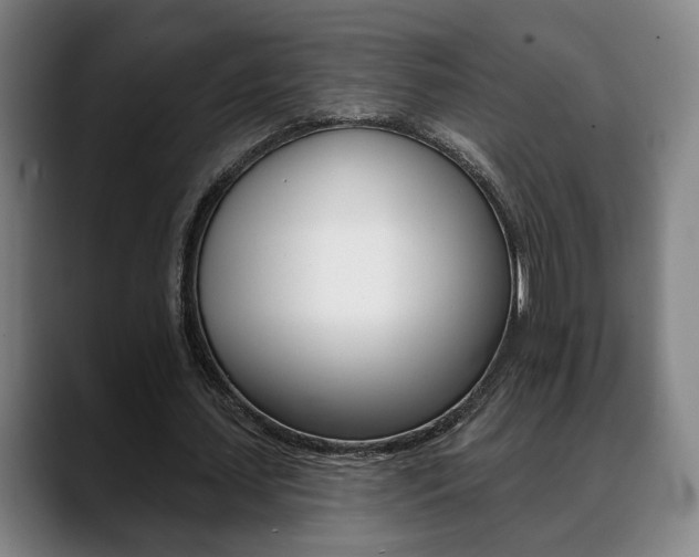 X0000089420627200706151004