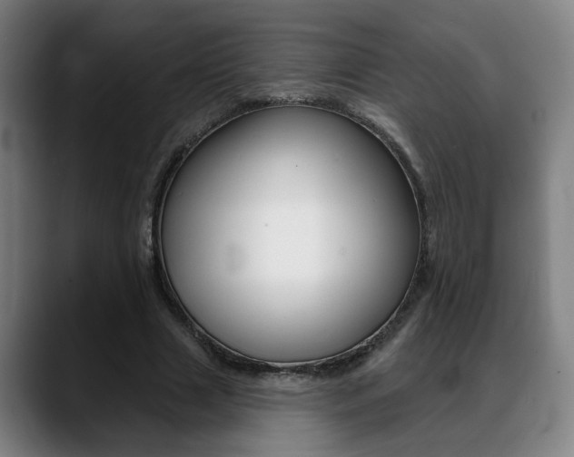 X0000089420633200706151004