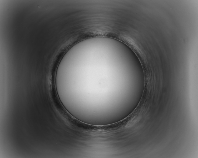 X0000089420634200706151004