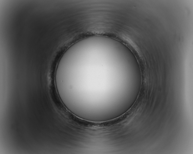 X0000089420635200706151004