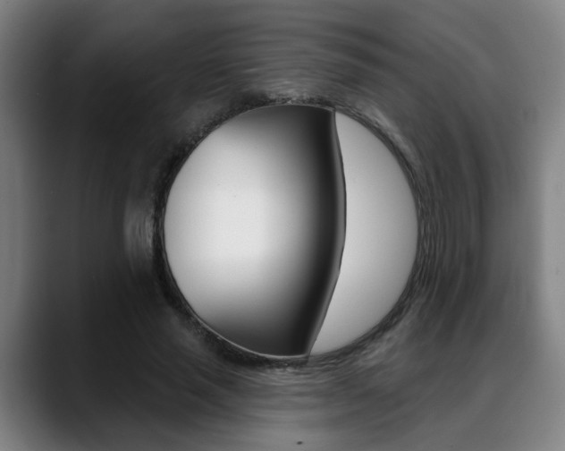 X0000089420637200706151004