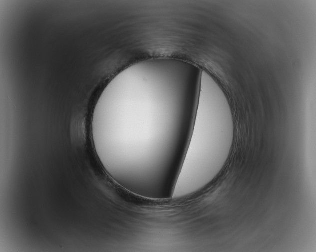 X0000089420638200706151004