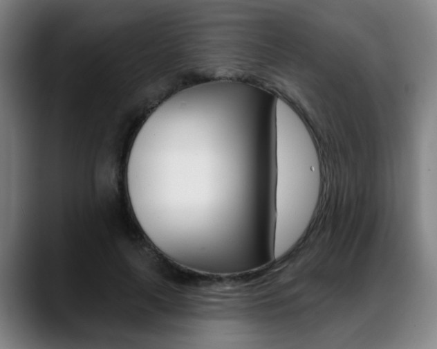 X0000089420643200706151004