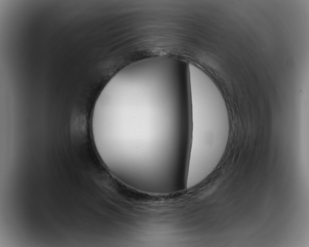X0000089420646200706151004