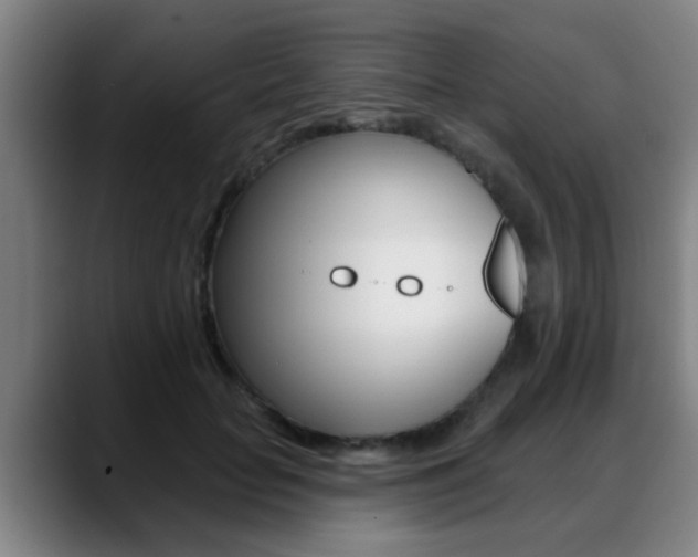 X0000089420653200706151004
