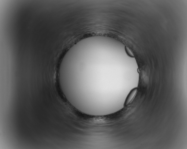 X0000089420668200706151004