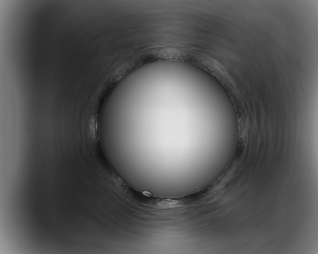X0000089420669200706151004