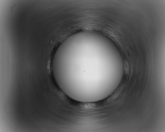 X0000089420670200706151004