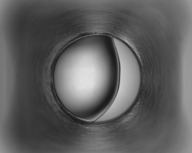 X0000089420673200706151004