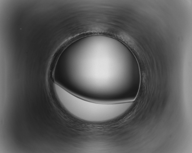 X0000089420676200706151004