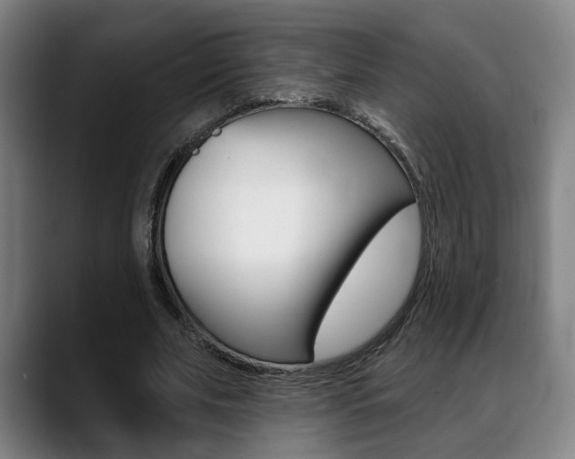 X0000089420679200706151004