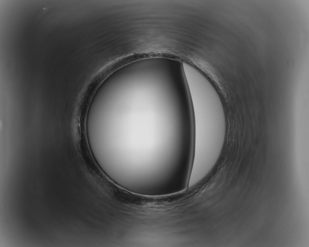 X0000089420680200706151004