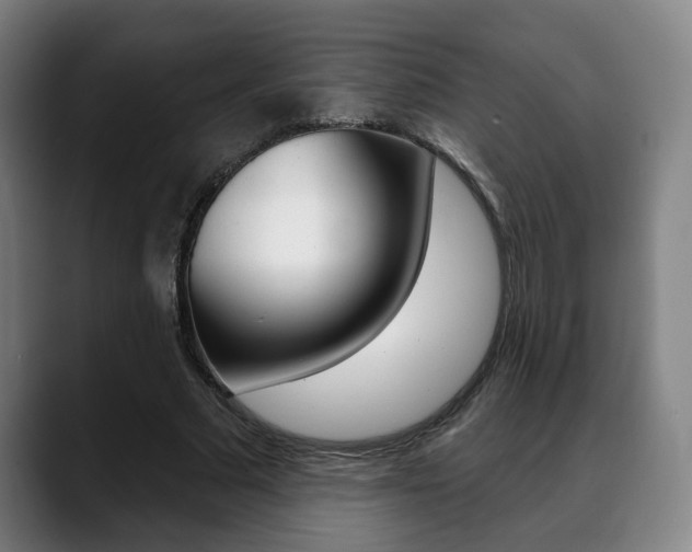 X0000089420681200706151004