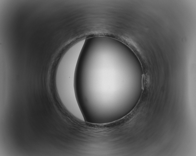 X0000089420684200706151004