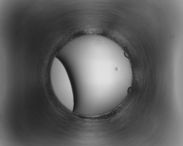 X0000089420690200706151004