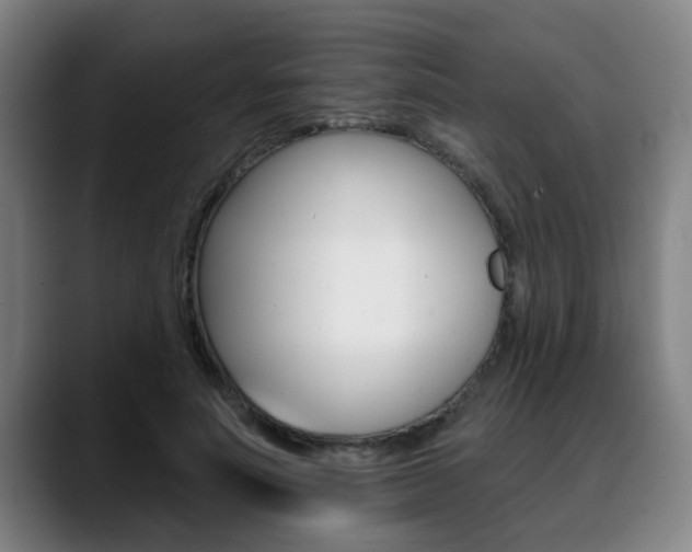 X0000089420691200706151004