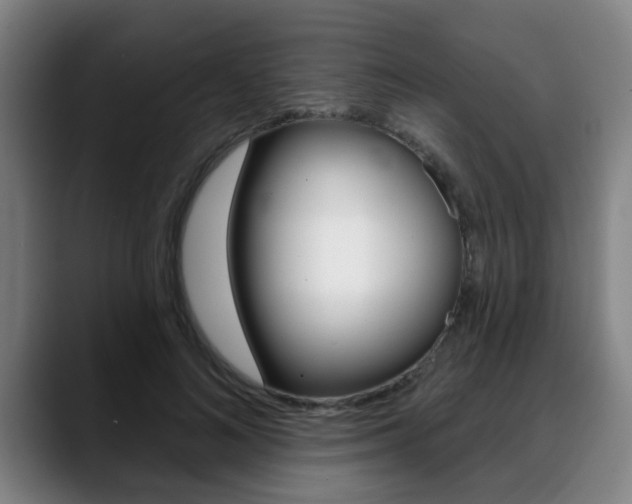 X0000089420692200706151004