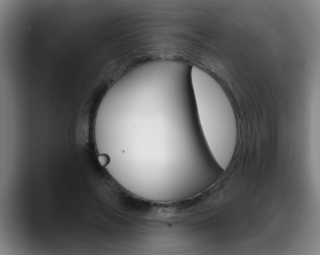 X0000089420694200706151004