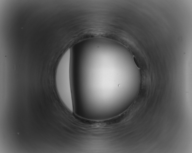 X0000089420700200706151003