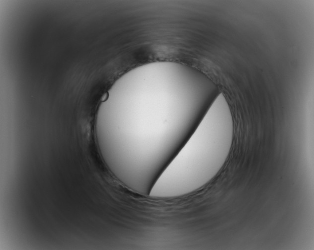 X0000089420703200706151003