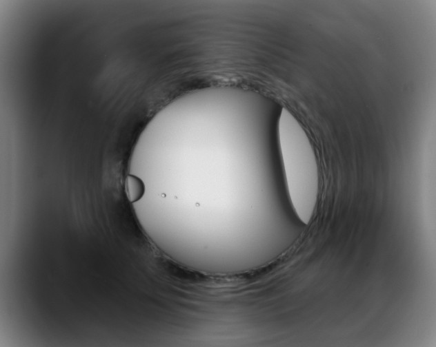 X0000089420707200706151003