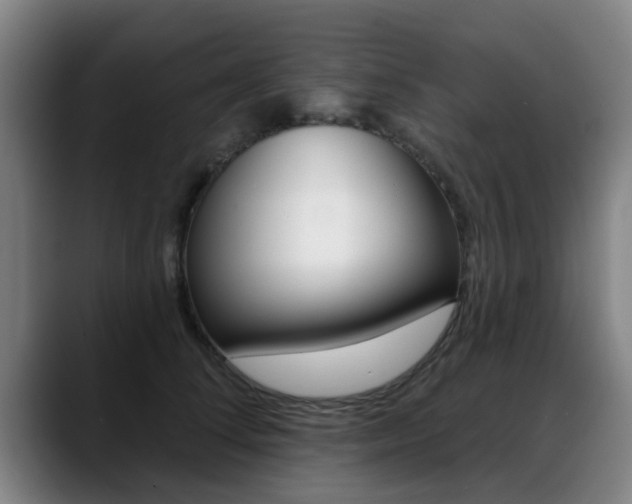 X0000089420708200706151003
