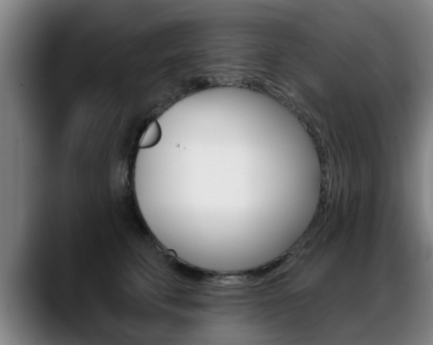 X0000089420711200706151003
