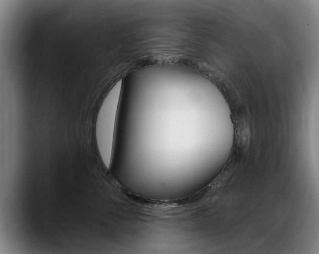 X0000089420716200706151003