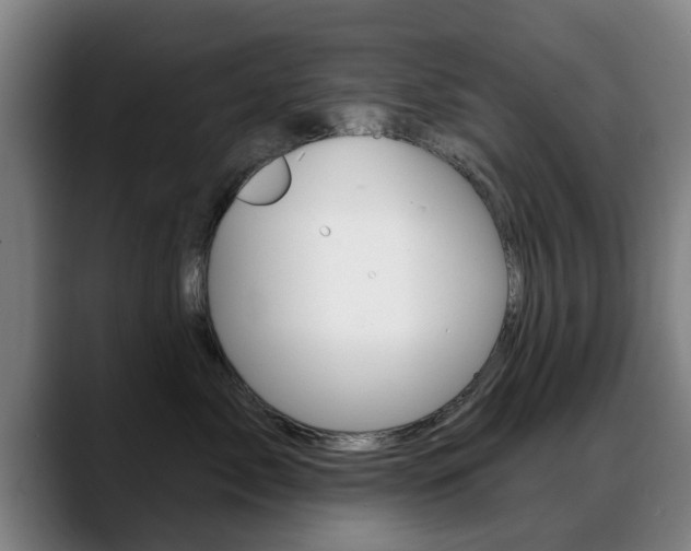 X0000089420717200706151003