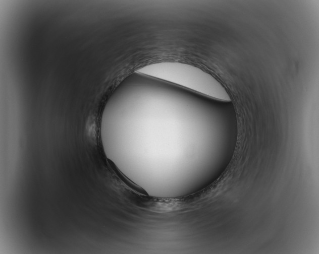 X0000089420720200706151003