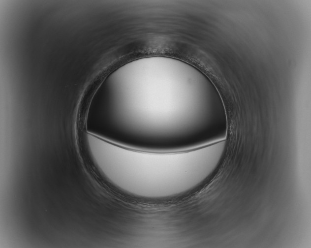 X0000089420722200706151003