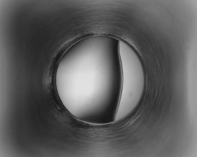 X0000089420723200706151003