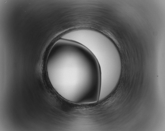 X0000089420724200706151003