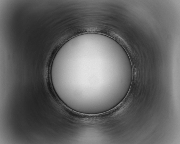 X0000089420725200706151003