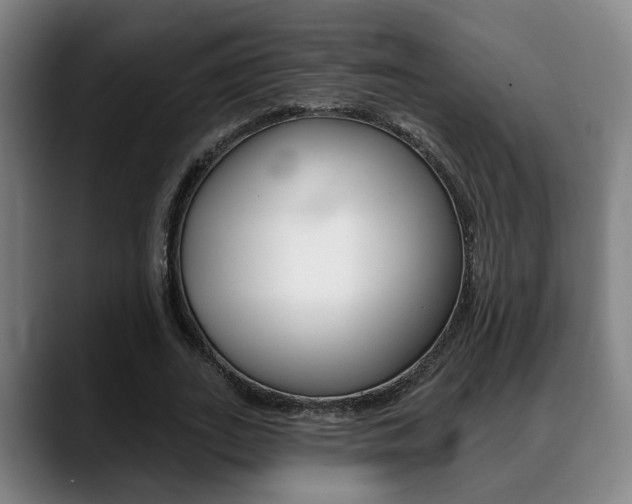 X0000089420727200706151003
