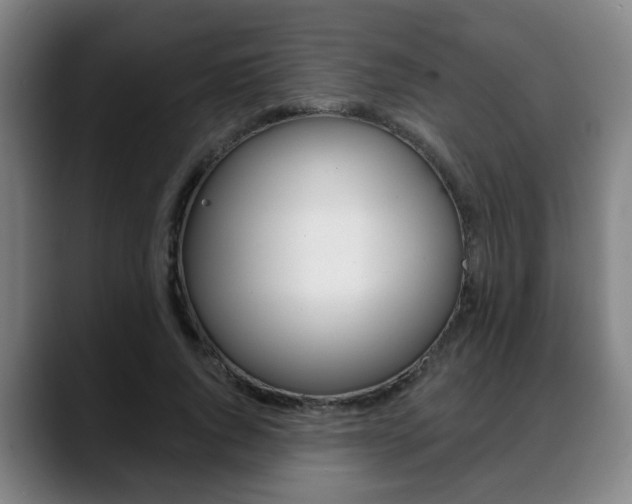 X0000089420736200706151003
