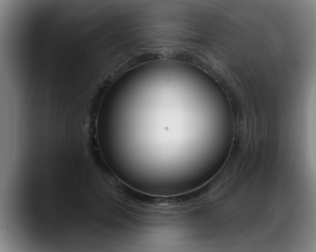 X0000089420750200706151003