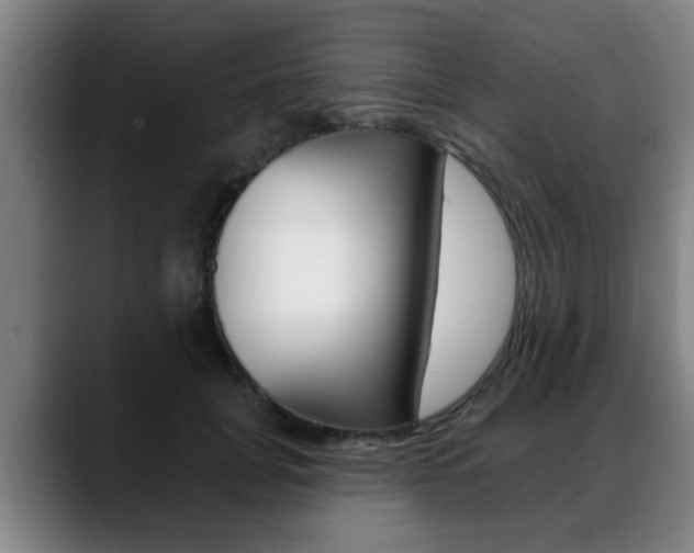 X0000089420751200706151003
