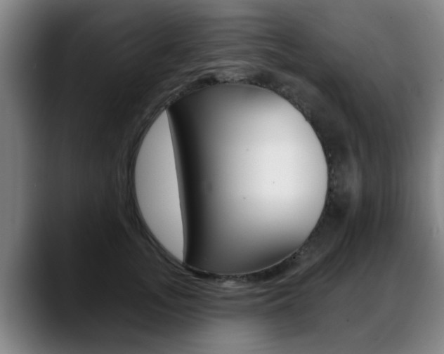 X0000089420755200706151003