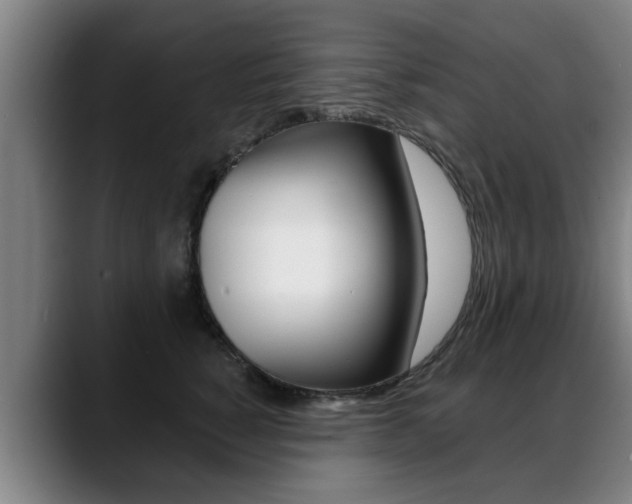 X0000089420760200706151003