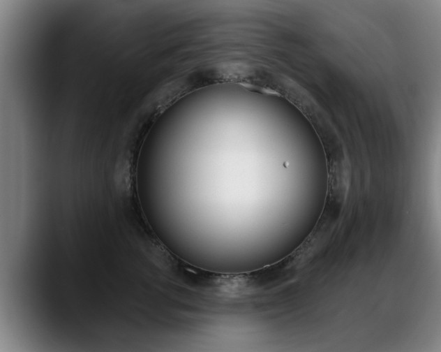 X0000089420762200706151003