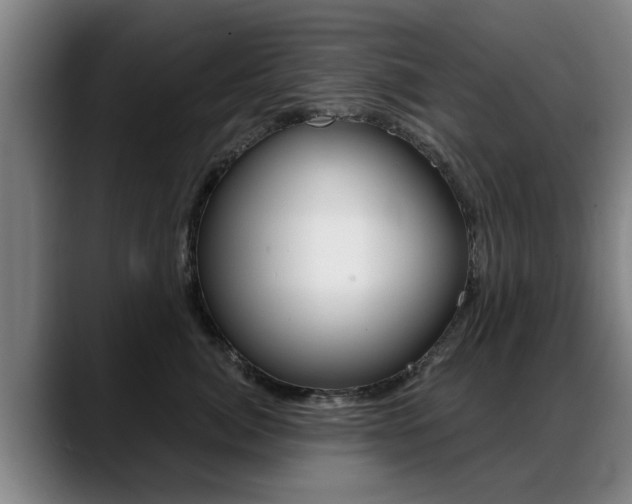 X0000089420764200706151003