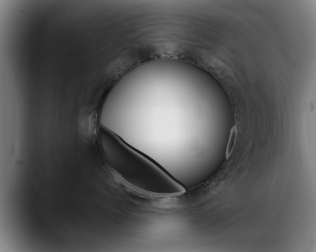 X0000089420768200706151003