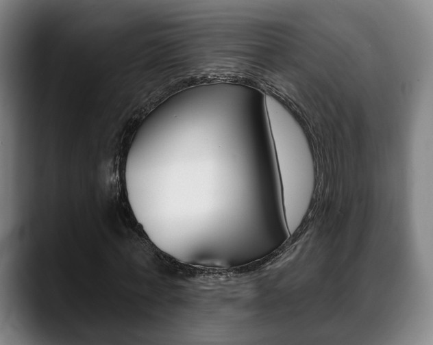 X0000089420771200706151003