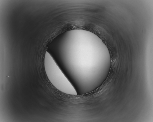 X0000089420772200706151003
